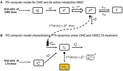 Clinically practical pharmacometrics computer model to evaluate and personalize pharmacotherapy in pediatric rare diseases: application to Graves' disease